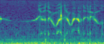 De-noised Signal Spectrogram